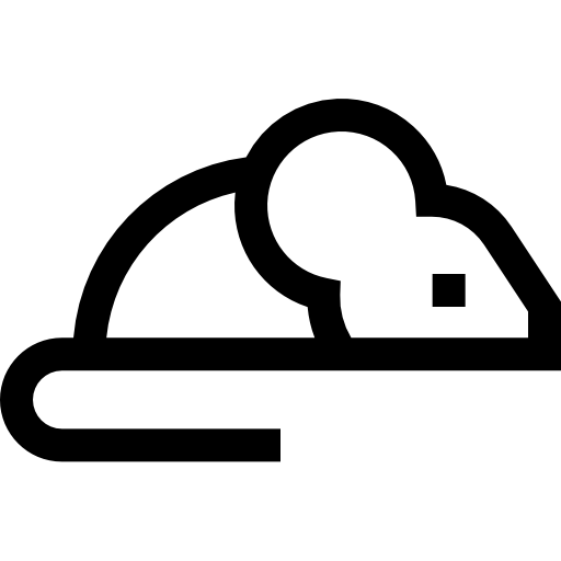 Souris Icon